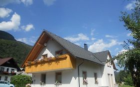 Apartma Bremec-Studio