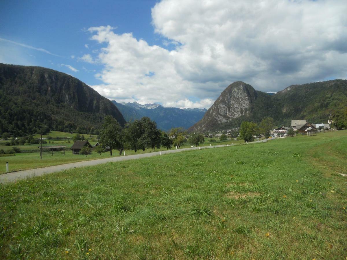 Apartma Bremec-Studio Bohinji-tó Kültér fotó